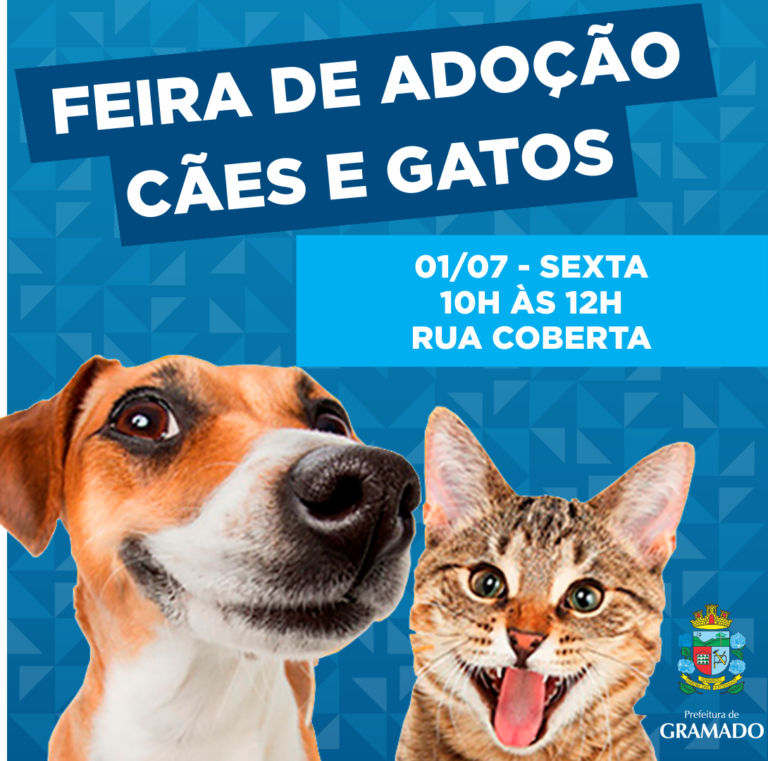 Feira de Adoção de Animais
