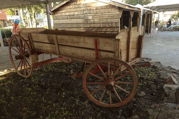 28Colonial2022_0009 (1)