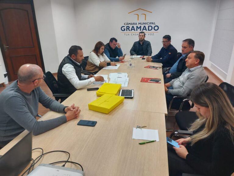 Vereadores em reunião com secretário Tiago P