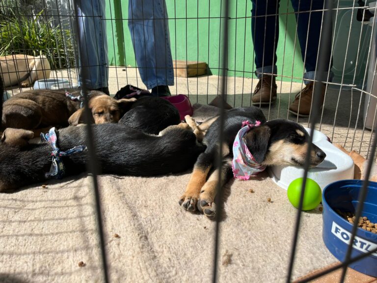 D33780E9-A003-4B8F-A933-01F7C716B23F