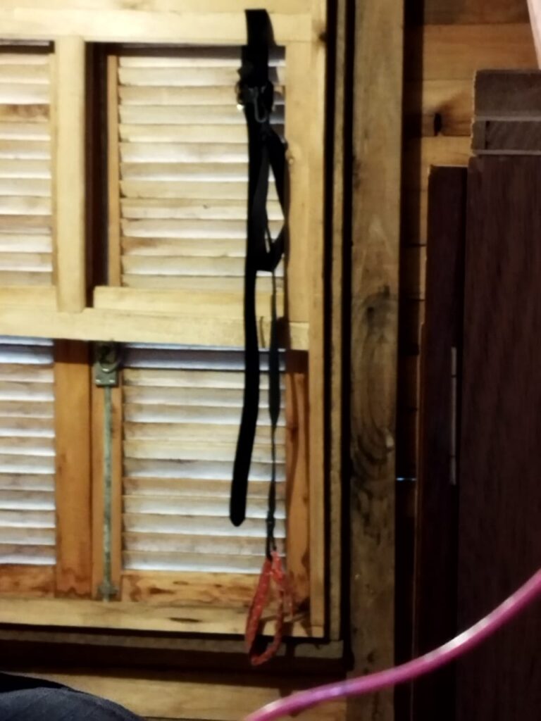 Foto Ação de policiais salvou a vida de uma mulher transtornada em Canela