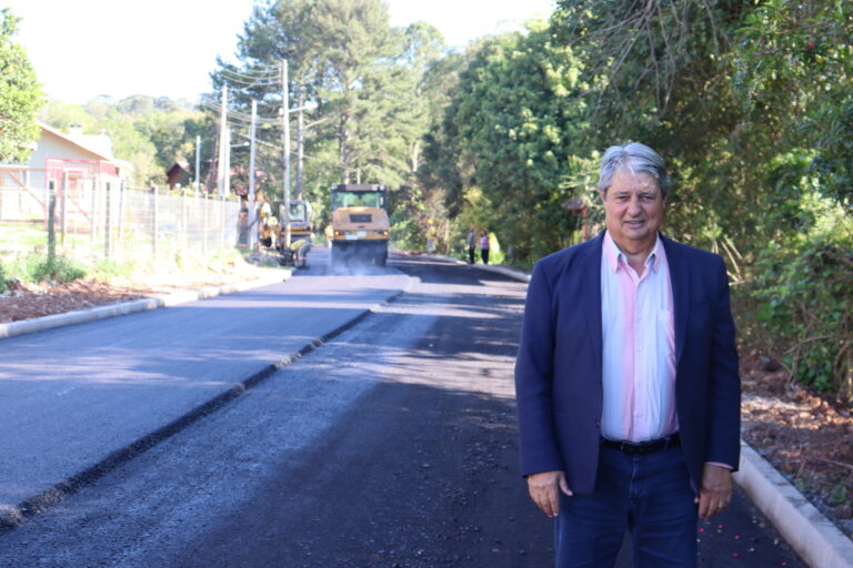 Vale dos pinheiros - Nestor