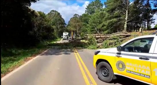 policia rodoviaria prende