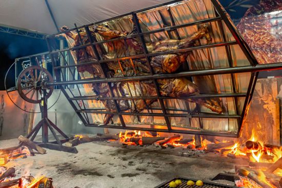 Boi inteiro raça angus