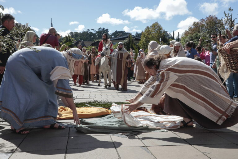 461AB4FF-7A31-4EEA-8D2F-F74F561F6761