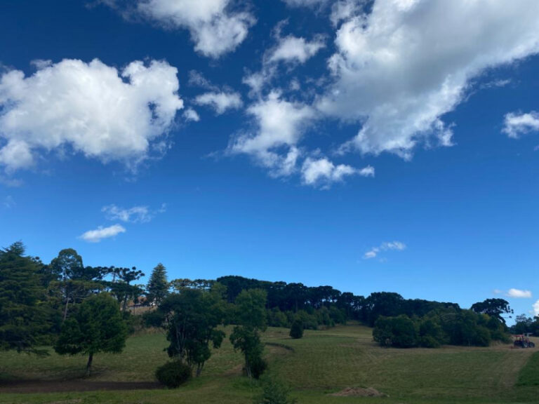 parque_palacio_3-10153498