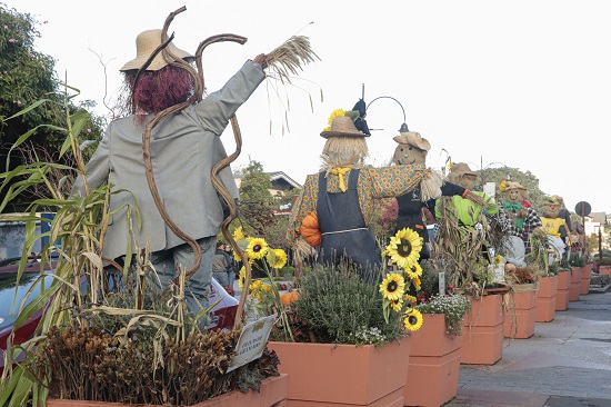 Foto Festa da Colonia