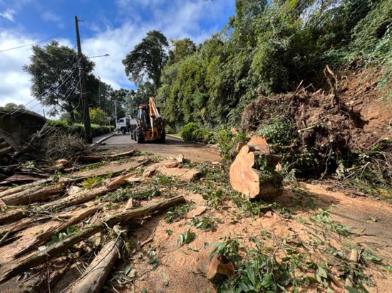 arvore-caida-sobre-residencia