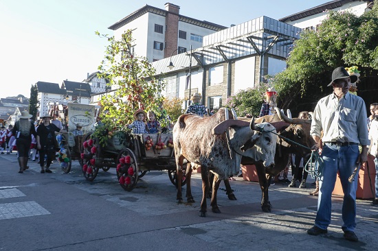 Festa da Colônia.Desfile de Carretas