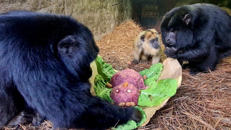 991E03FF-A462-4C03-93B7-DFA528E6C523