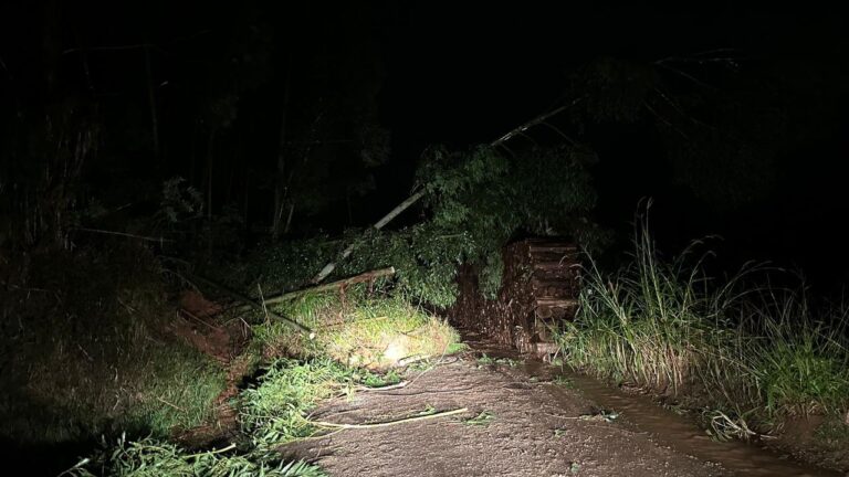 E4B0930A-1937-4F2B-8CAE-49FA3DFF0597