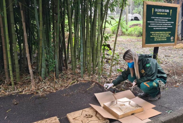 ECB2B5A7-4F08-4F4E-BA46-AF6FAD7F528E