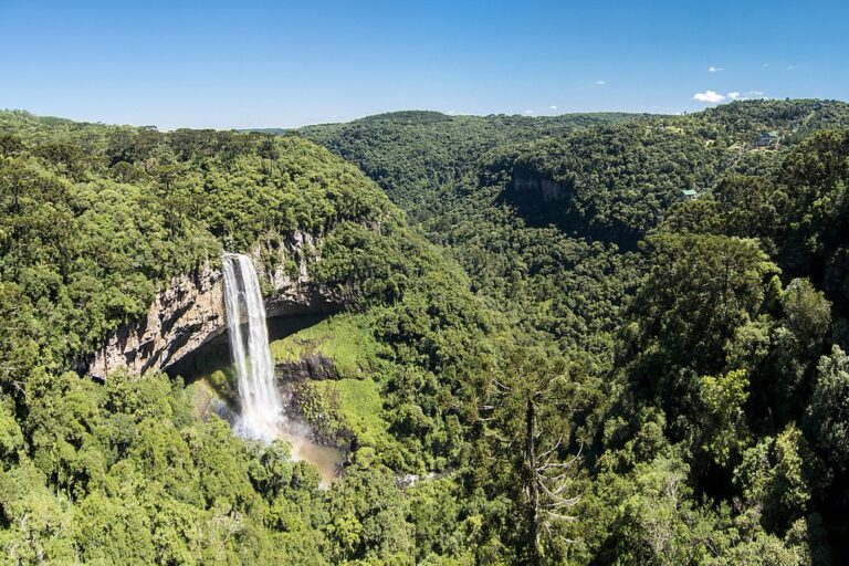 1024px-Caracol_IMG_0887 (1)