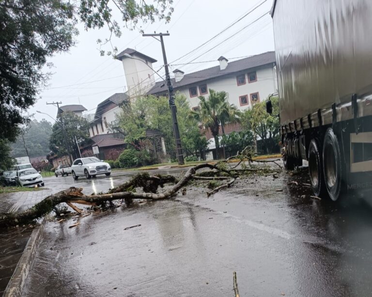 6CBE48C6-8950-4686-98FE-F22E8B08FE2C