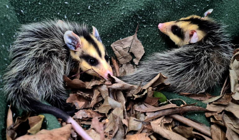 EF095966-D9C0-4194-BA8B-986F8D917705