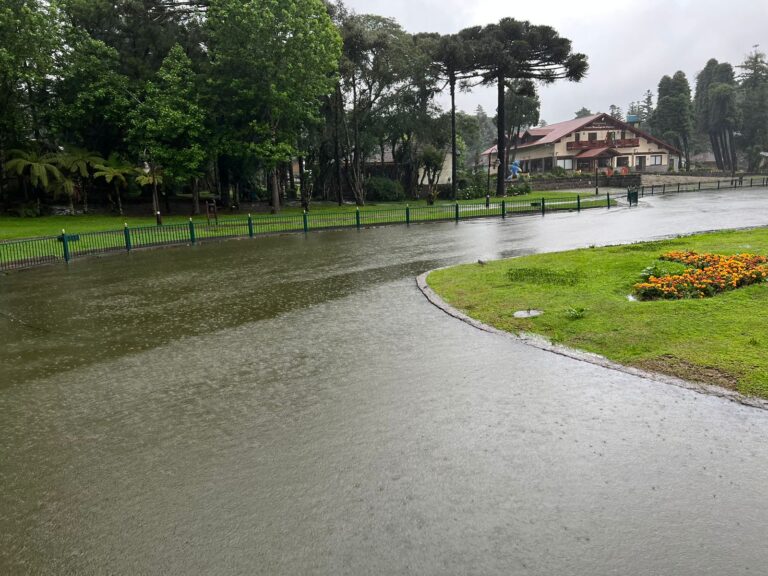 WhatsApp Image 2023-11-18 at 16.10