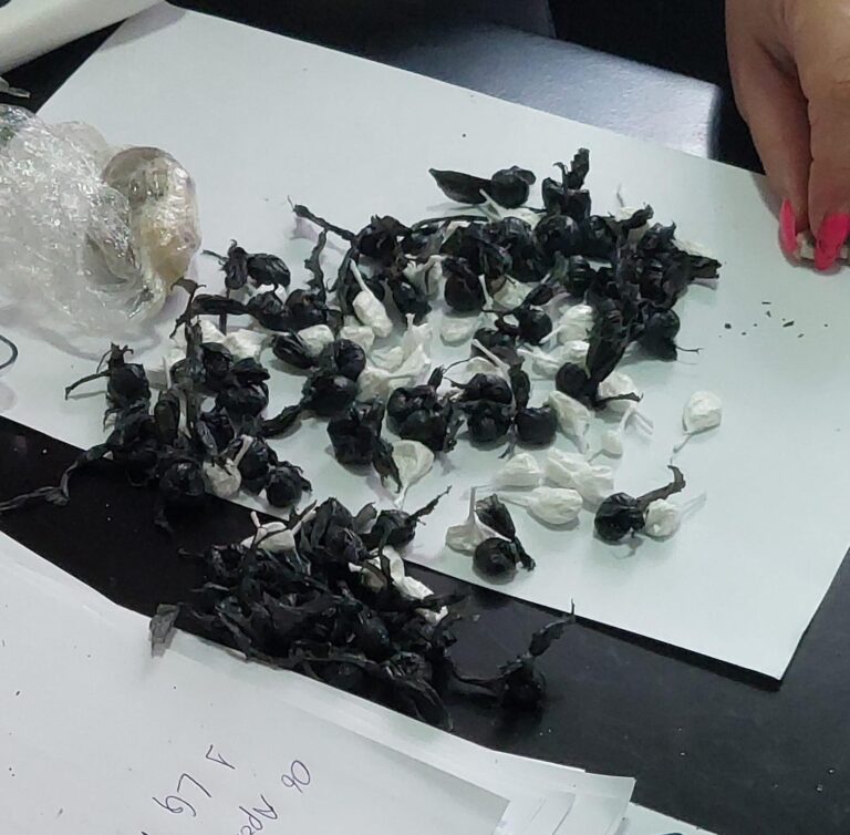 Foto POLÍCIA CIVIL E SUSEPE CUMPREM BUSCAS NO INTERIOR DO PRESÍDIO DE CANELA