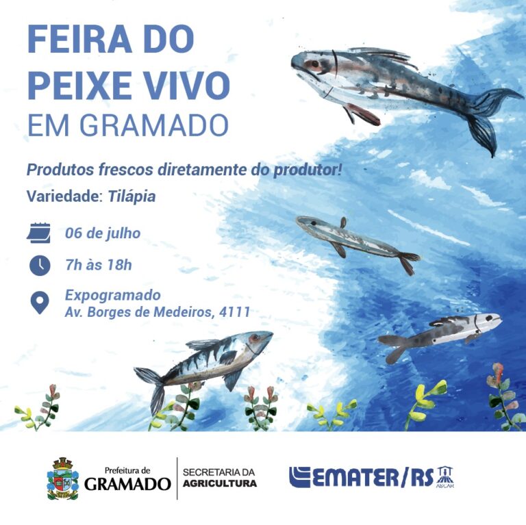 3 feira do peixe vivo