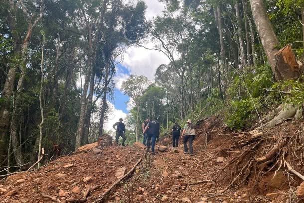 Foto Fiscalização da policia ambiental e fiscais da prefeitura identifica irregularidades em Nova Petrópolis.