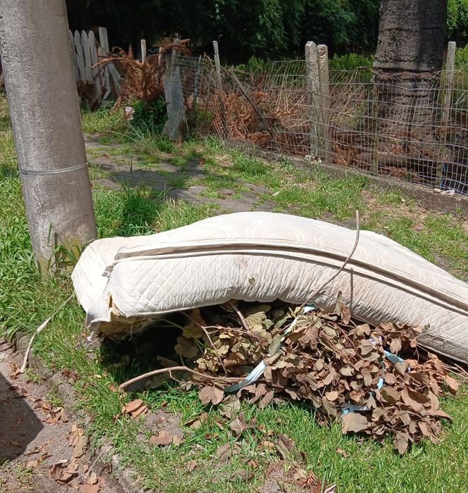 Foto Mais de 30 toneladas de resíduos volumosos foram recolhidas desde o início do ano em Canela