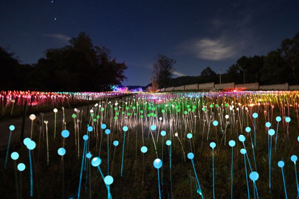 Foto Lumni Experience, uma atração sensorial inédita inaugura em junho em Gramado