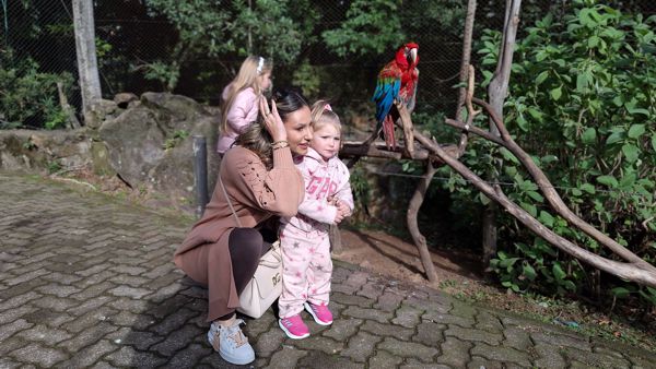 Foto Mães não pagam ingresso no Gramadozoo neste sábado (10) e domingo (11)