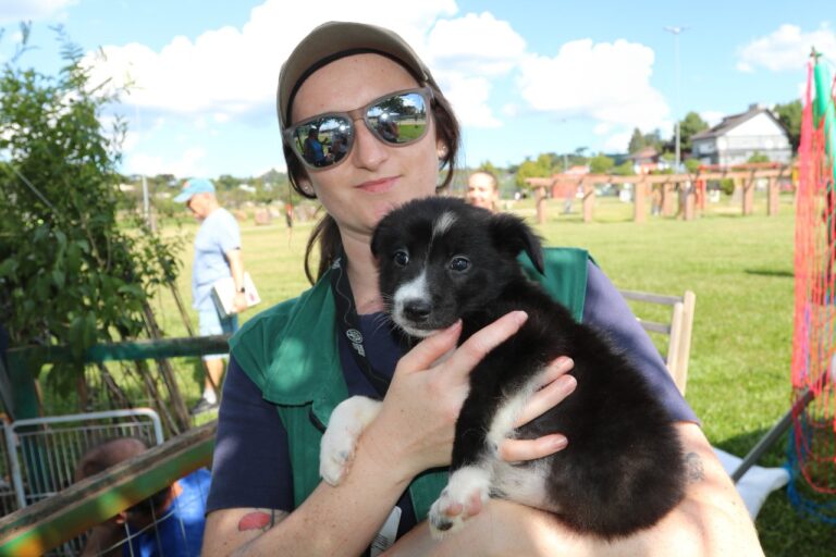 Foto Prefeitura propõe a criação do Conselho Municipal da Causa Animal de Canela