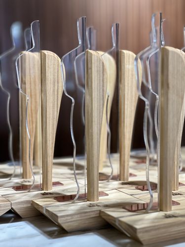 Foto Troféu Prêmio Salão de Gramado de Design (1)