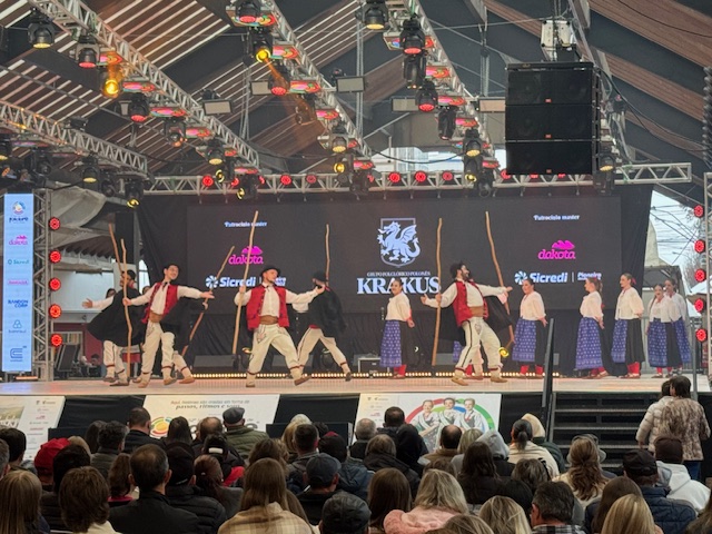 Foto Festival Folclore apresentação