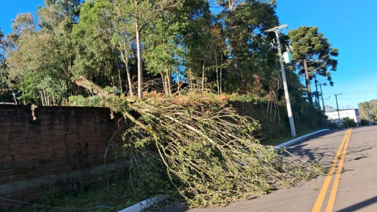 Foto vale dos pinheiros sem luz