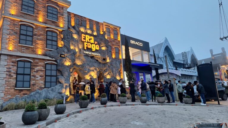 Temporada de inverno registra 43 mil pessoas em contato direto com as marcas licenciadas pela Hector Studios