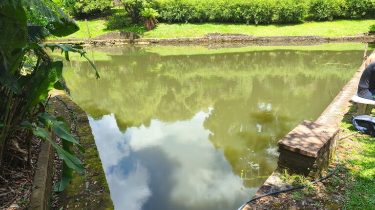 Foto BOmbeiros.resgate açude