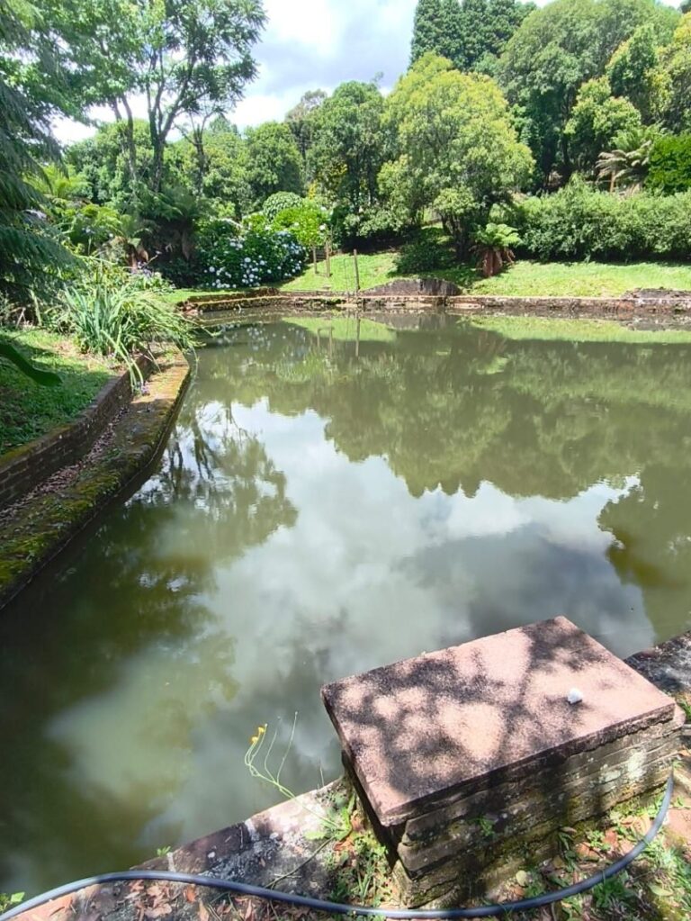 Foto açude Linha Tapera