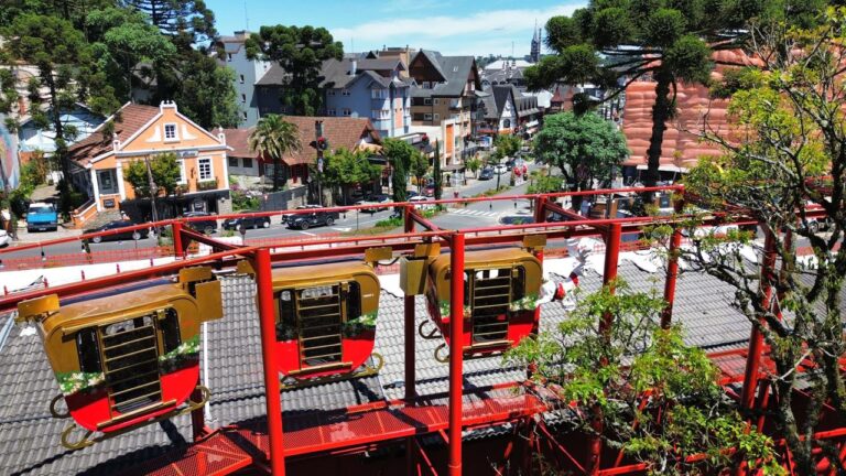 PHOTO-2026-02-03-09-55-23