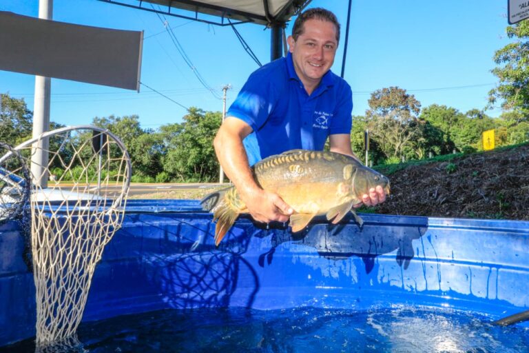 feira_peixe_foto_cleiton3