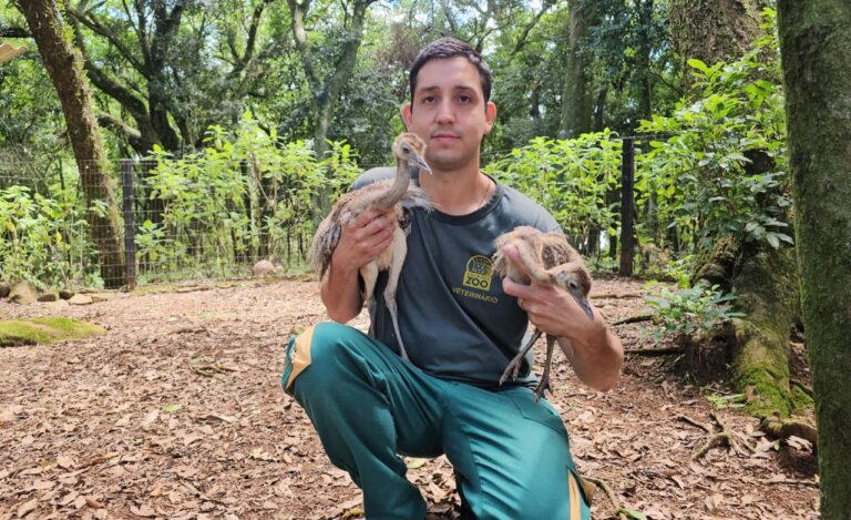 jorge_com_emas_foto_halder