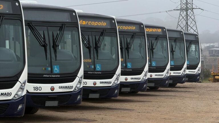 Novos ônibus frota