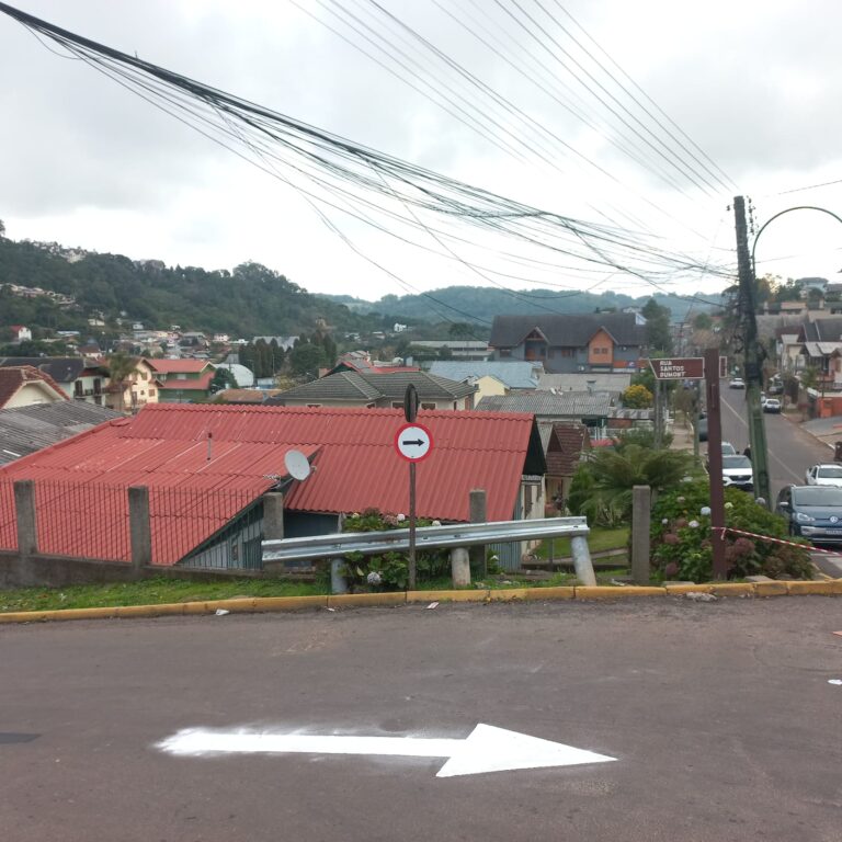 Santos Dumont (1)